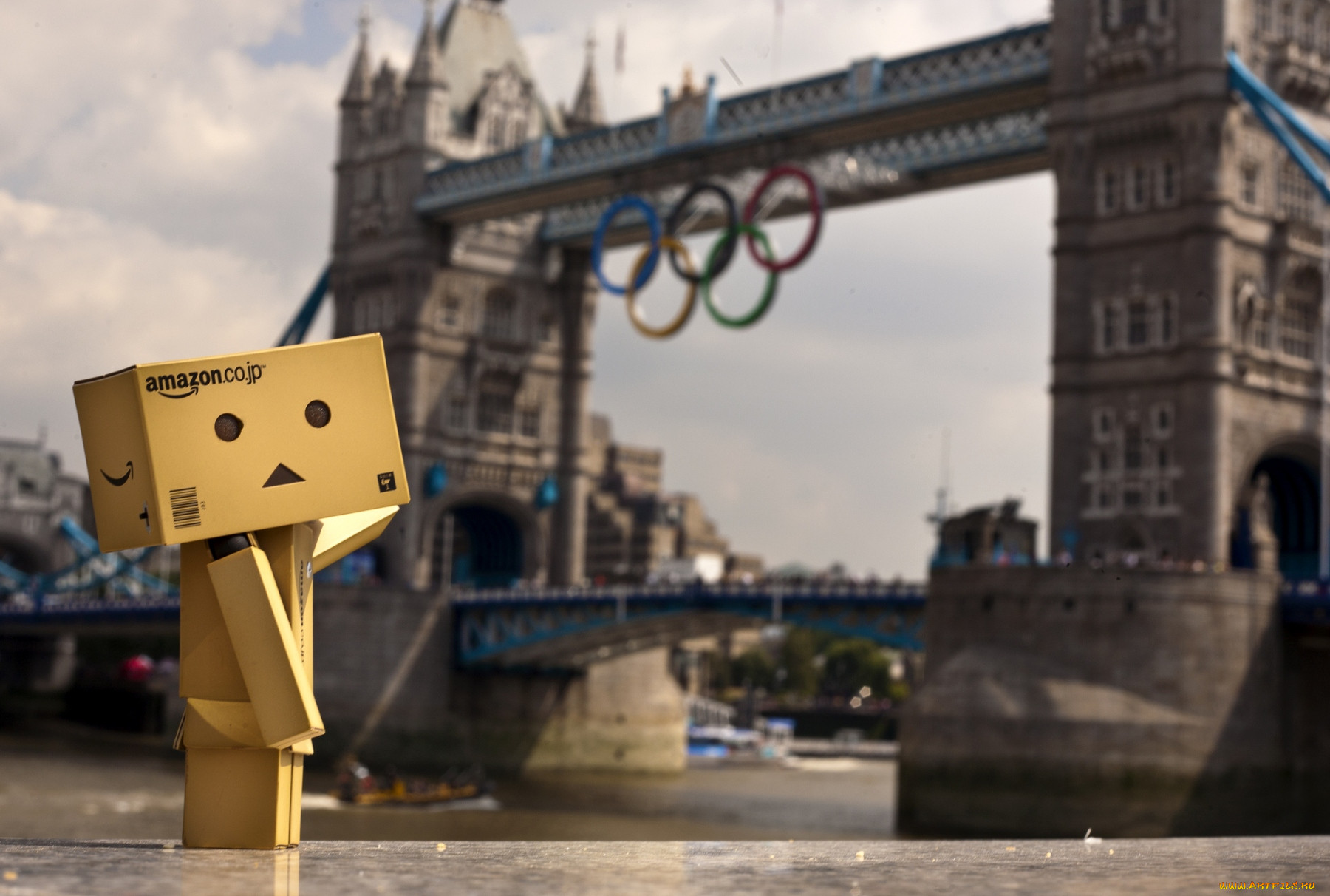 , , danboard, , , 